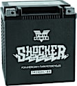781156 Twin Power YTX-30L Shocker Battery Replaces H-D 66010-97A 430 CCA