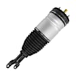 18-118102 Front, Passenger Side Air Strut