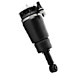 18-560000 Rear, Driver or Passenger Side Air Strut, Unity OE Replacement