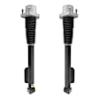 2-13-576001-13-576002 Rear, Driver and Passenger Side Shock