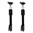 2-15390-001 Rear, Driver and Passenger Side Fully Loaded Strut
