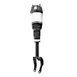 2-18-117001-18-117002 Front, Driver and Passenger Side Air Strut