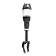 2-18-117001-18-117002 Front, Driver and Passenger Side Air Strut