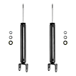 2-256500-001 Rear, Driver and Passenger Side Shock