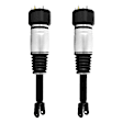 2-28-111700 Front, Driver and Passenger Side Air Strut