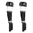 2-28-113600 Front, Driver and Passenger Side Air Strut, RWD