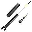 252130 Rear, Driver or Passenger Side Shock