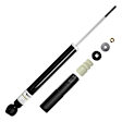 253040 Rear, Driver or Passenger Side Shock