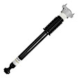 254870 Rear, Driver or Passenger Side Shock