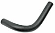 270616 Lower Radiator Hose