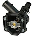 31355151 Thermostat
