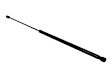 C2P1798 Driver or Passenger Side Hood Lift Support, Sold Individually