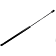 1995 Volkswagen Golf - Driver or Passenger Side Lift Support Gas Spring,  Eng. VIN: C; For Liftgate; Aftermarket Grade, Hatchback
