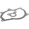 V45-50001 Water Pump