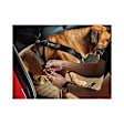 84PH3441BK Universal Pet Safety Harness, Sold Individually