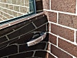 SP0370 ScratchProtection Series Body Protection Film - Clear, Direct Fit