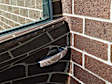 SP0528 ScratchProtection Series Body Protection Film - Clear, Direct Fit