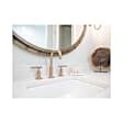 SS2W1 Universal Drip Tray, Sold Individually
