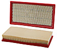 42341 Air Filter