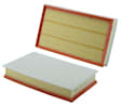 WA10896 Air Filter