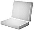 WP10279 Cabin Air Filter