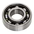 RB6203-2RS Wheel Bearing, Sold Individually