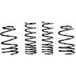 2017 Ford Focus - Front and Rear Lowering Springs, Set of 4