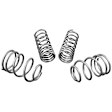2017 Ford Focus - Front and Rear Lowering Springs, Set of 4