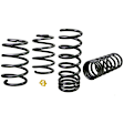 WSK-FRD008 Front and Rear Lowering Springs - Set of 4