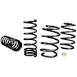 WSK-FRD008 Front and Rear Lowering Springs - Set of 4