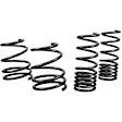 WSK-SUB007 Front and Rear Lowering Springs - Set of 4
