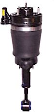 AS-7315 Rear, Driver or Passenger Side Air Strut, Westar OE Replacement