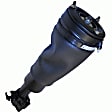 AS-7329 Air Strut