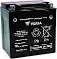 M6230X NON-RETURNABLE Battery - AGM High Performance, Sold Individually