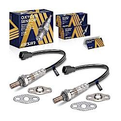 Oxygen Sensors