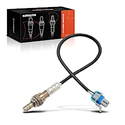 Oxygen Sensors