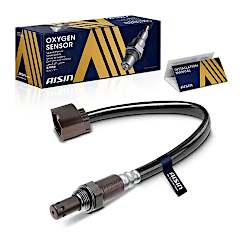 Oxygen Sensors