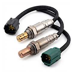 Oxygen Sensors