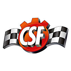 CSF