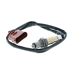 Oxygen Sensors