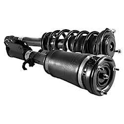 Shock Absorber and Strut Assembly