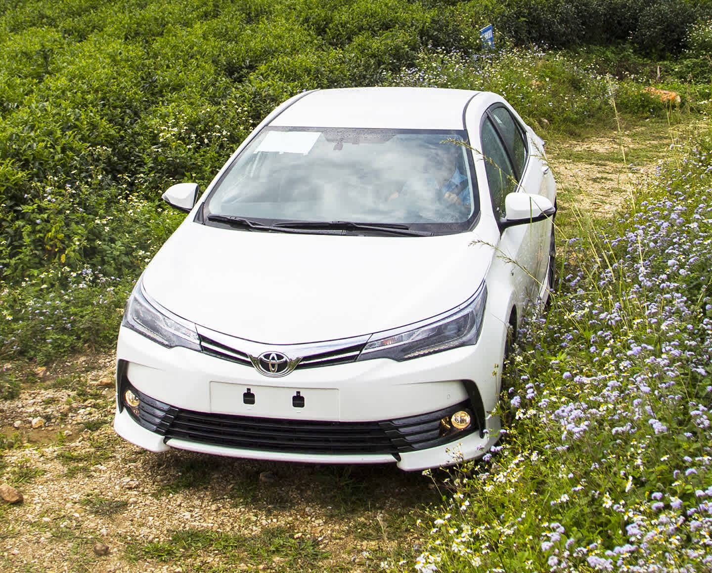 2017-2020 toyota corolla