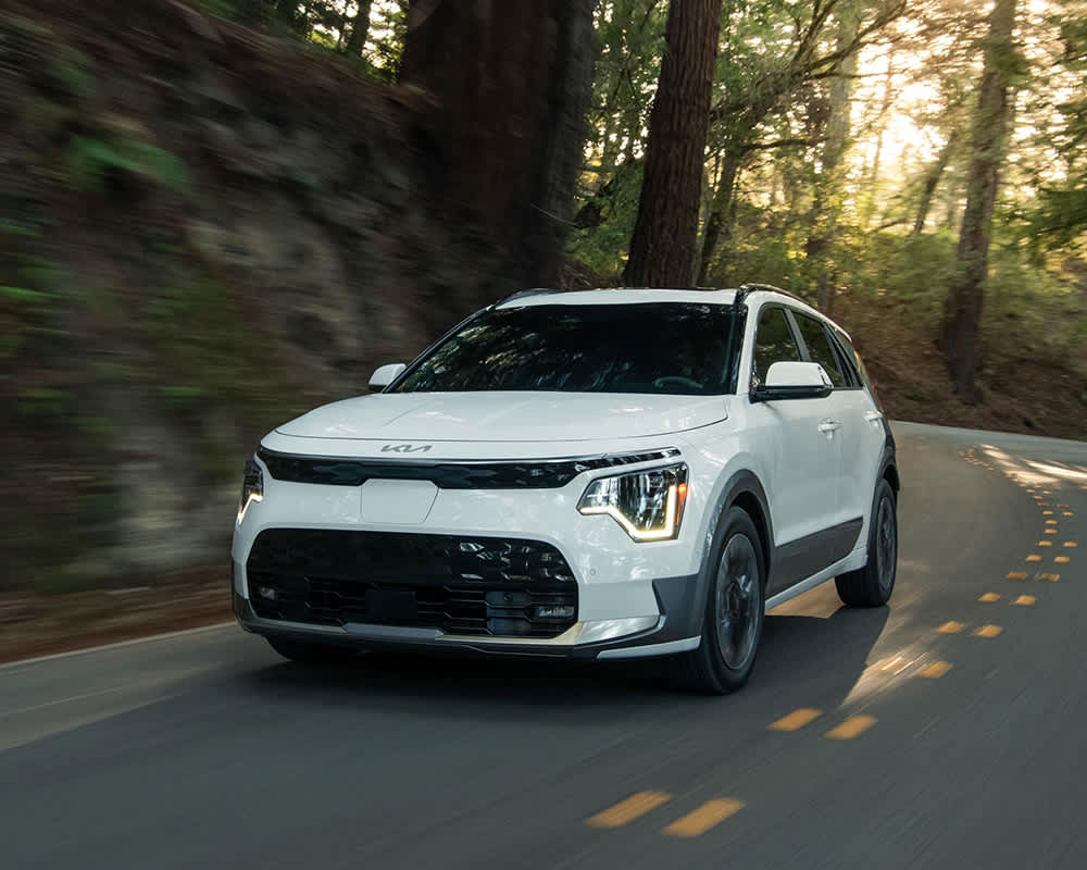 kia niro ev