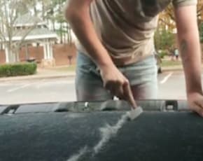 Get Fur Off Your Interior's Carpet Using a Window Squeegee