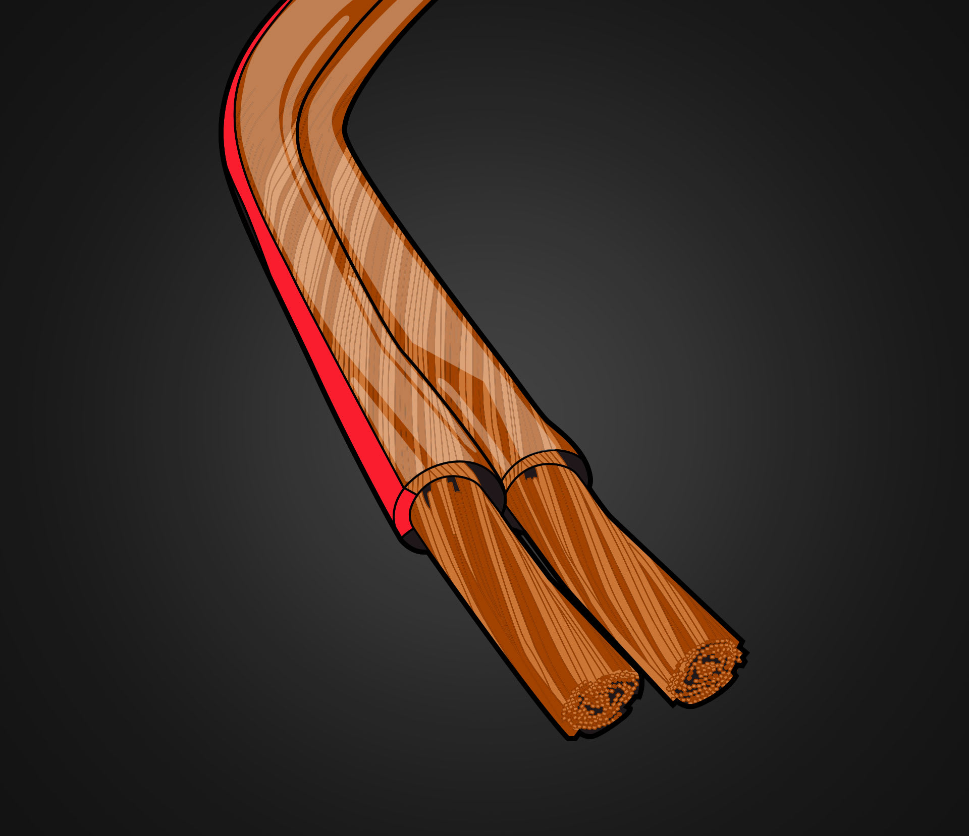 speaker wire