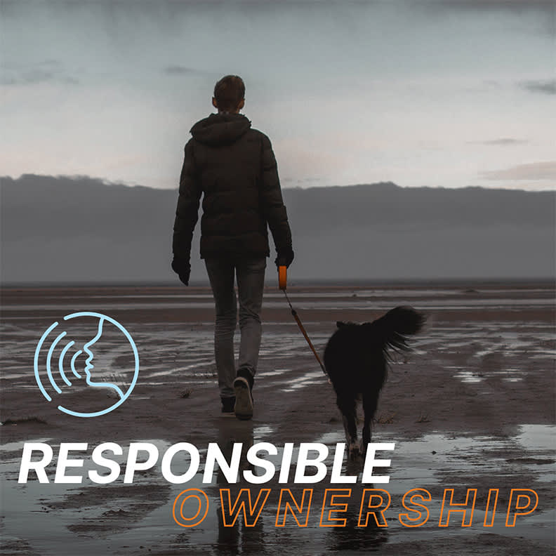 Driven Responsible Ownership