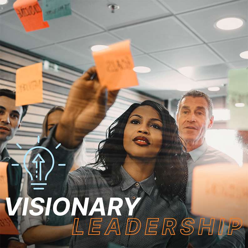 Driven Visionary Leadership