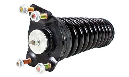 TrueDrive Shock Absorber and Strut Assembly