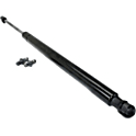 Ford Bronco Sport Lift Support