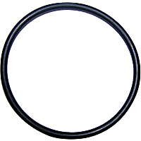 2875923 Distributor O-Ring - Direct Fit
